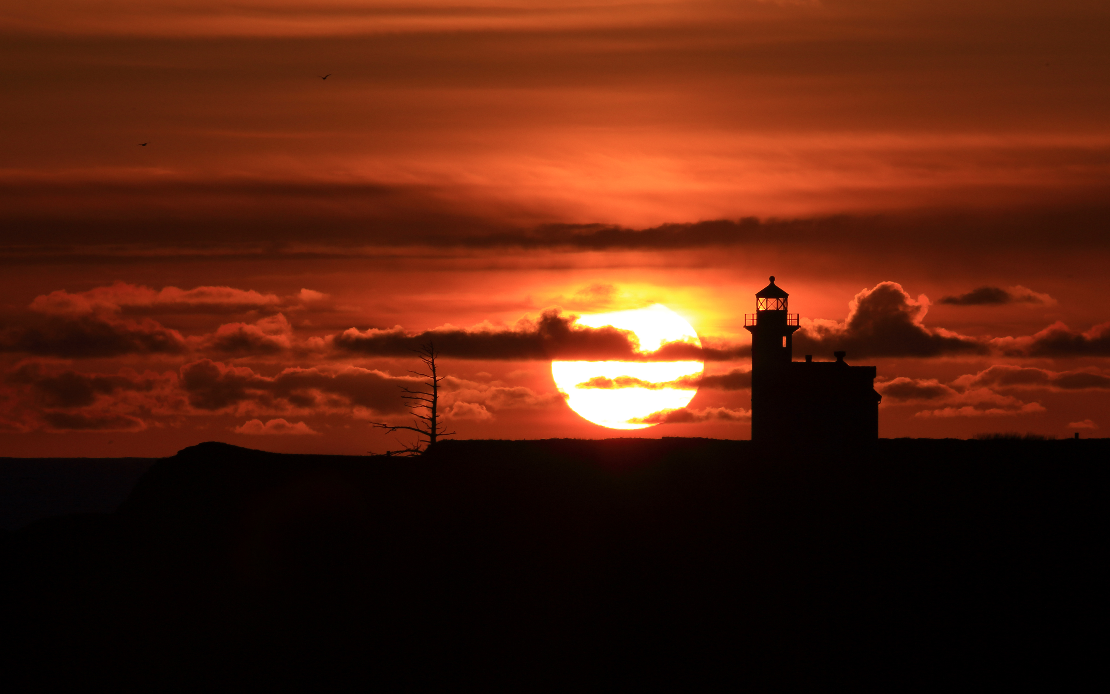 2026世界杯解说阵容：哪些传奇球星坐上了评论席？，世界杯比赛解说